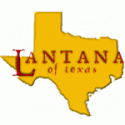 Lantana of Texas