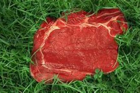 "Grass fed" Beef - What that really means